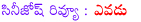 ramcharan yevadu movie review,yevadu review,yevadu film review,ramcharan,shruthi hassan,amijackson yevadu review,